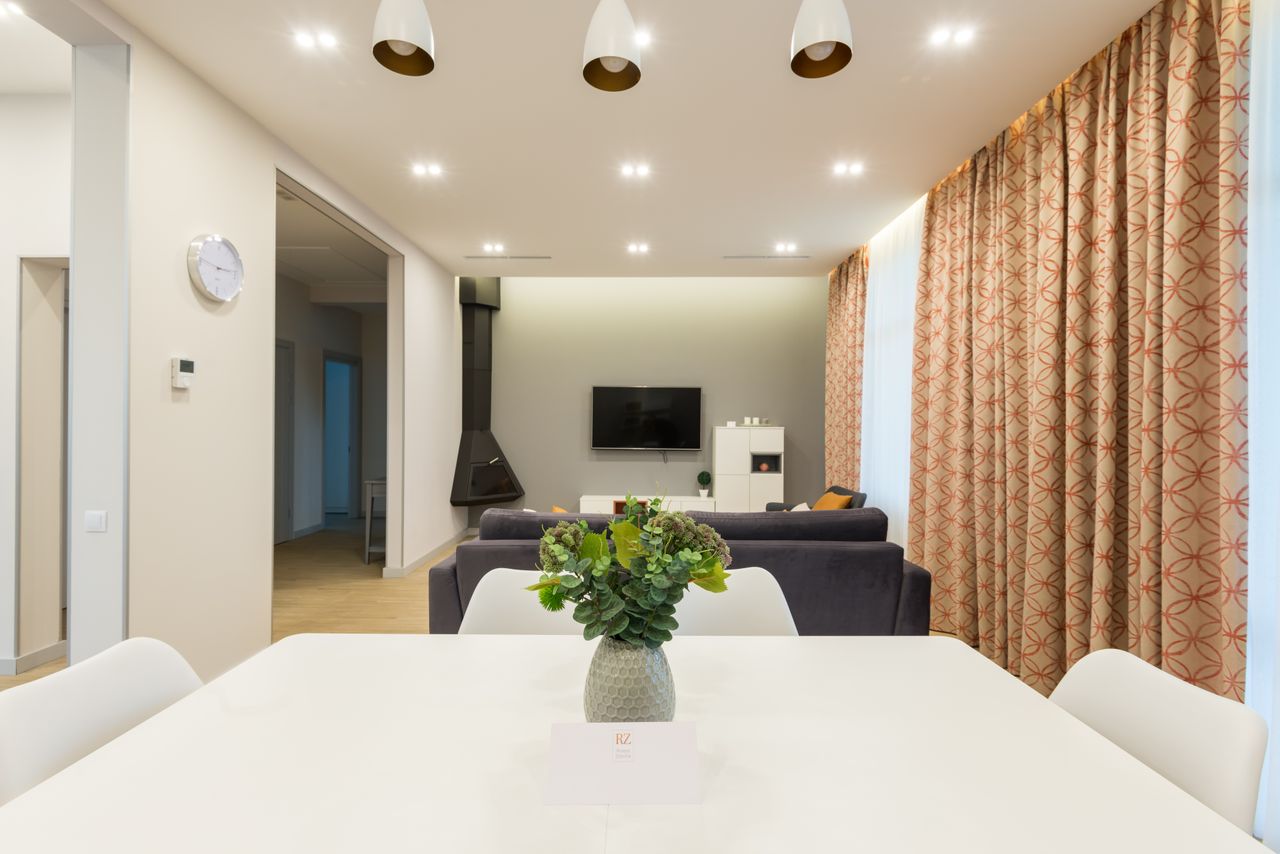 White table with green plants placed near couch against wall with TV set and cupboard near modern fireplace in spacious apartment